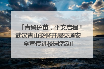 青警护苗，平安启程！武汉青山交警开展交通安全宣传进校园活动