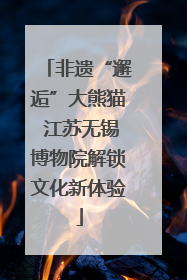 非遗“邂逅”大熊猫 江苏无锡博物院解锁文化新体验