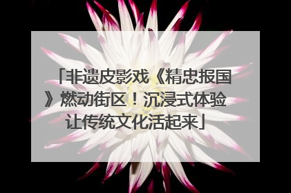 非遗皮影戏《精忠报国》燃动街区！沉浸式体验让传统文化活起来