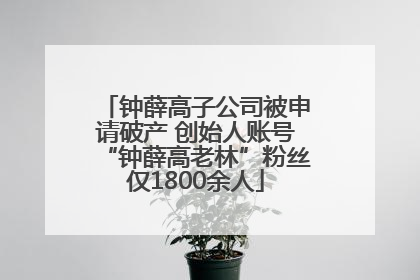 钟薛高子公司被申请破产 创始人账号“钟薛高老林”粉丝仅1800余人