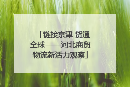 链接京津 货通全球——河北商贸物流新活力观察