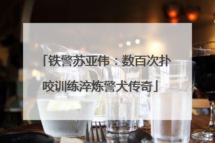 铁警苏亚伟：数百次扑咬训练淬炼警犬传奇