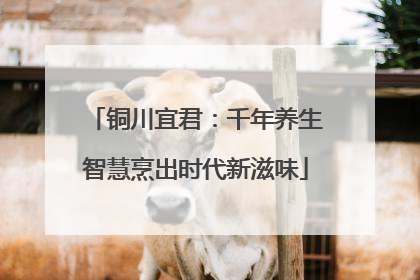 铜川宜君：千年养生智慧烹出时代新滋味