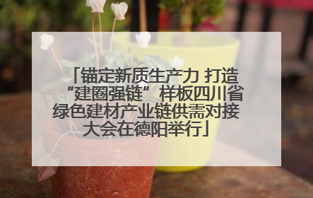 锚定新质生产力 打造“建圈强链”样板四川省绿色建材产业链供需对接大会在德阳举行