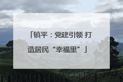 镇平：党建引领 打造居民“幸福里”
