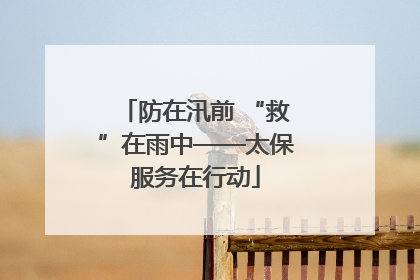 防在汛前 “救”在雨中——太保服务在行动