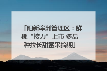 阳新率洲管理区：鲜桃“接力”上市 多品种拉长甜蜜采摘期