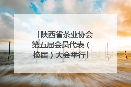 陕西省茶业协会第五届会员代表（换届）大会举行