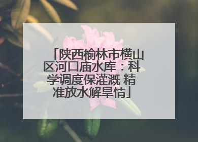 陕西榆林市横山区河口庙水库：科学调度保灌溉 精准放水解旱情