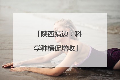 陕西靖边：科学种植促增收