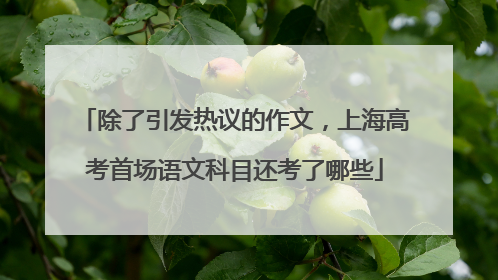 除了引发热议的作文，上海高考首场语文科目还考了哪些