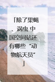 除了果蝇、涡虫 中国空间站还有哪些“动物航天员”