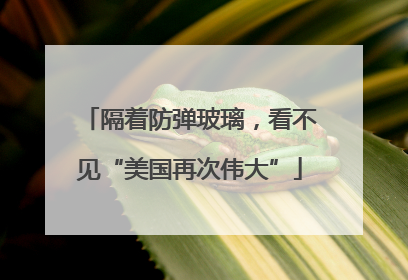 隔着防弹玻璃，看不见“美国再次伟大”