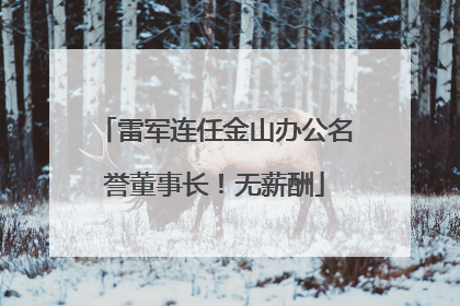 雷军连任金山办公名誉董事长！无薪酬