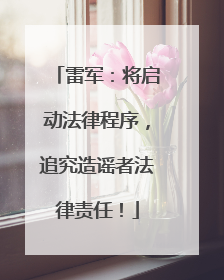 雷军：将启动法律程序，追究造谣者法律责任！