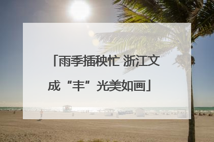 雨季插秧忙 浙江文成“丰”光美如画