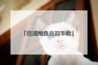 霞浦鲍鱼喜迎丰收