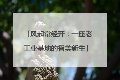 风起常经开：一座老工业基地的智美新生