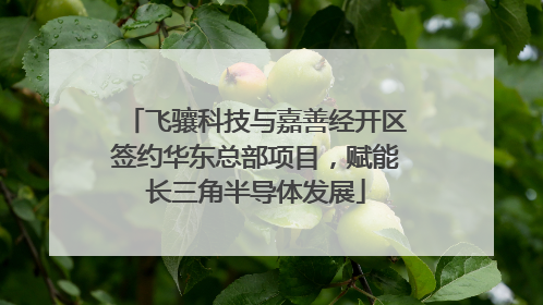 飞骧科技与嘉善经开区签约华东总部项目，赋能长三角半导体发展