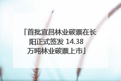 首批宜昌林业碳票在长阳正式签发 14.38万吨林业碳票上市