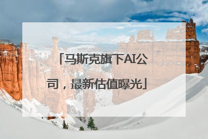 马斯克旗下AI公司，最新估值曝光