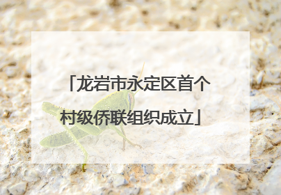 龙岩市永定区首个村级侨联组织成立