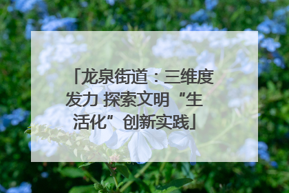 龙泉街道：三维度发力 探索文明“生活化”创新实践