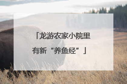 龙游农家小院里有新“养鱼经”