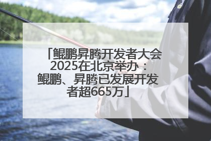 鲲鹏昇腾开发者大会2025在北京举办：鲲鹏、昇腾已发展开发者超665万