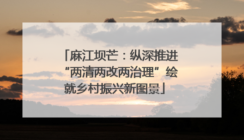麻江坝芒：纵深推进“两清两改两治理”绘就乡村振兴新图景