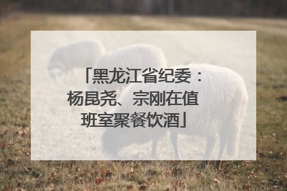黑龙江省纪委：杨昆尧、宗刚在值班室聚餐饮酒