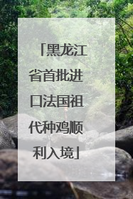黑龙江省首批进口法国祖代种鸡顺利入境