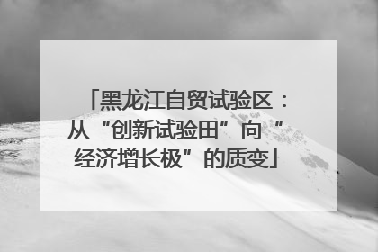 黑龙江自贸试验区：从“创新试验田”向“经济增长极”的质变