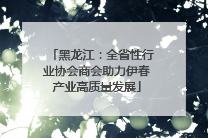 黑龙江：全省性行业协会商会助力伊春产业高质量发展