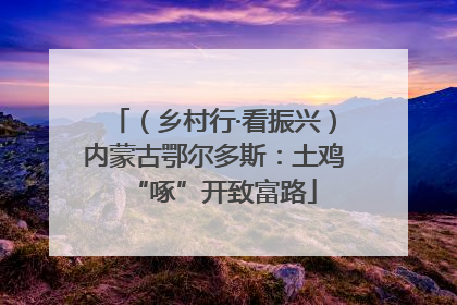 （乡村行·看振兴）内蒙古鄂尔多斯：土鸡“啄”开致富路