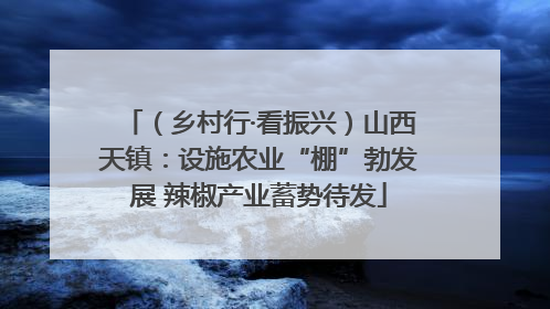 （乡村行·看振兴）山西天镇：设施农业“棚”勃发展 辣椒产业蓄势待发
