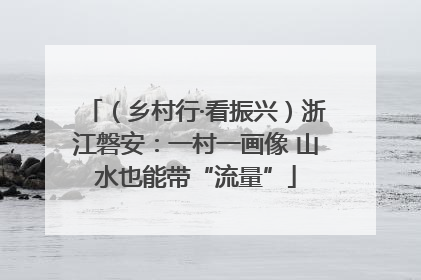 （乡村行·看振兴）浙江磐安：一村一画像 山水也能带“流量”