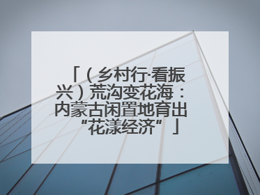 （乡村行·看振兴）荒沟变花海：内蒙古闲置地育出“花漾经济”