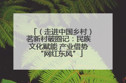 （走进中国乡村）茗新村破圈记：民族文化赋能 产业借势 “网红东风”
