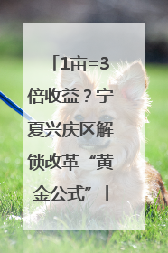 1亩=3倍收益？宁夏兴庆区解锁改革“黄金公式”