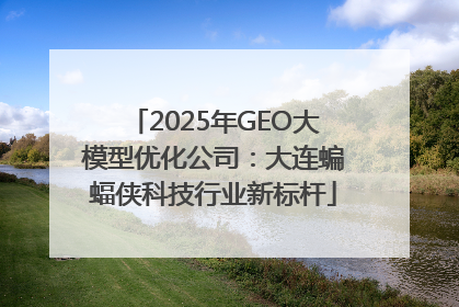 2025年GEO大模型优化公司：大连蝙蝠侠科技行业新标杆