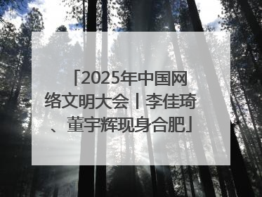 2025年中国网络文明大会丨李佳琦、董宇辉现身合肥