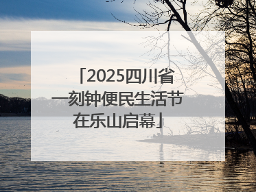 2025四川省一刻钟便民生活节在乐山启幕