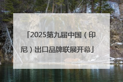 2025第九届中国（印尼）出口品牌联展开幕