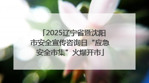 2025辽宁省暨沈阳市安全宣传咨询日“应急安全市集”火爆开市