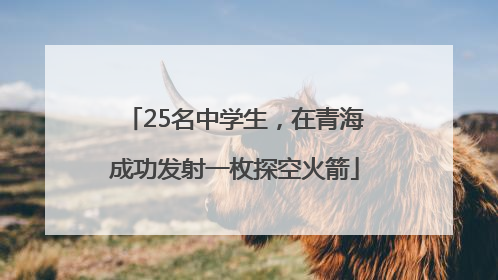 25名中学生，在青海成功发射一枚探空火箭