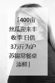 400亩丝瓜迎来丰收季 日供3万斤为沪苏锡常餐桌添鲜