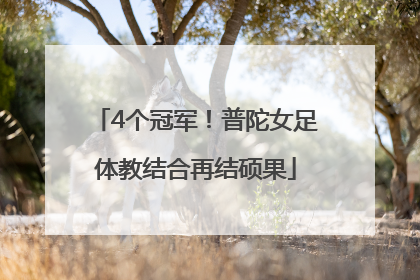 4个冠军！普陀女足体教结合再结硕果