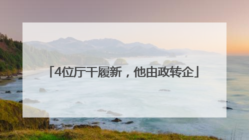 4位厅干履新，他由政转企