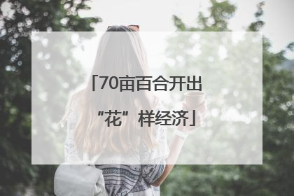 70亩百合开出“花”样经济